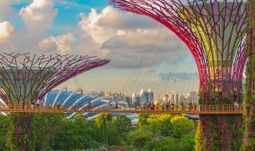 Hong Kong bankers incredibly eager to relocate to Singapore