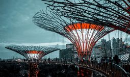 Fintechs now employ far more people in Singapore than most banks do