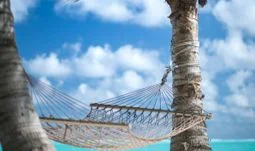 Electronic market maker with unlimited holidays is hiring