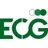 ecotax Steuerberatungsgesellschaft mbH