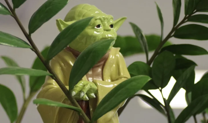 a plastic yoda figure from star wars standing in some leaves