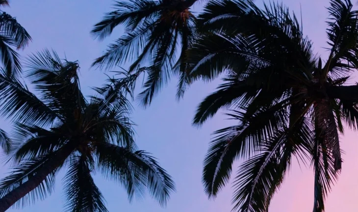 Goldman Sachs' newly special credit guy is in Palm Beach