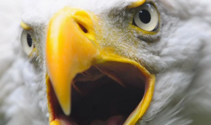 The most aggressive recruiters in Hong Kong and Singapore. And how to cope with their questions