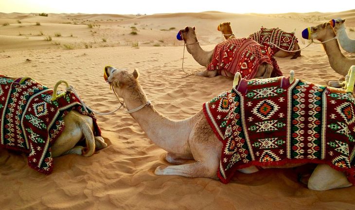 "I've been working in banking for 30+ years. I'm in Dubai & I cannot retire" 