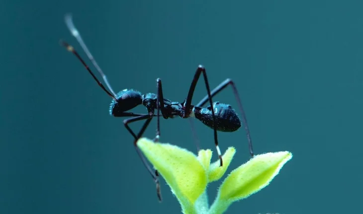 Hong Kong bankers rue lost bonuses after Ant IPO suspension