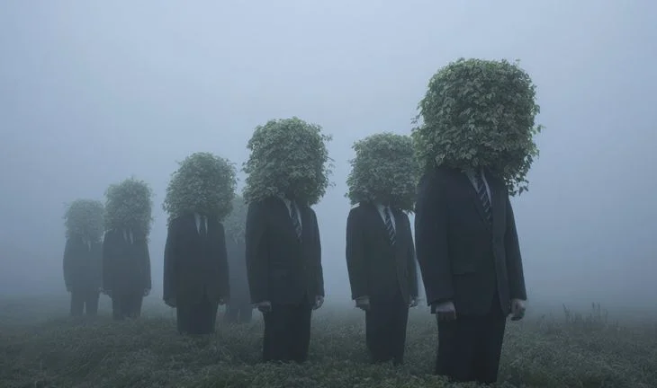 Men with bush heads