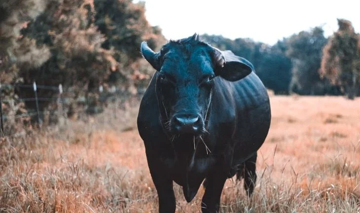 The bullish argument for summer 2020 finance hiring