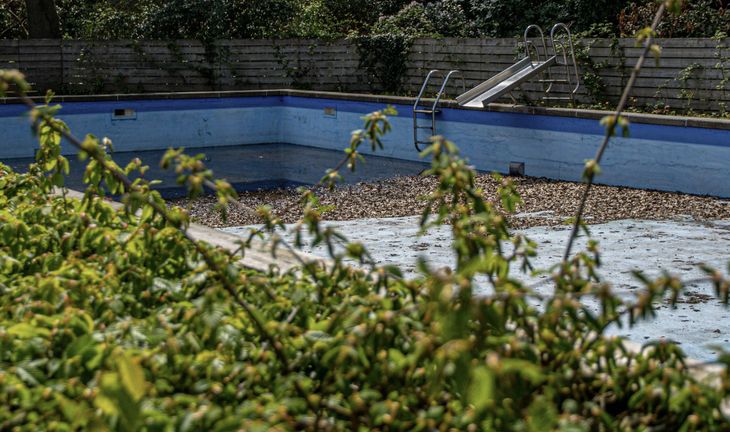 An empty swimming pool with a slide and some steps, a shrub in the foreground
