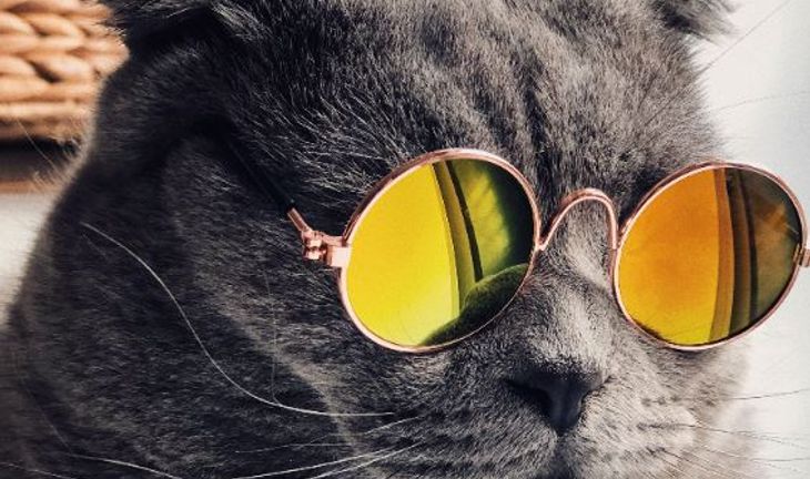 20 words to make tech people think you're smart