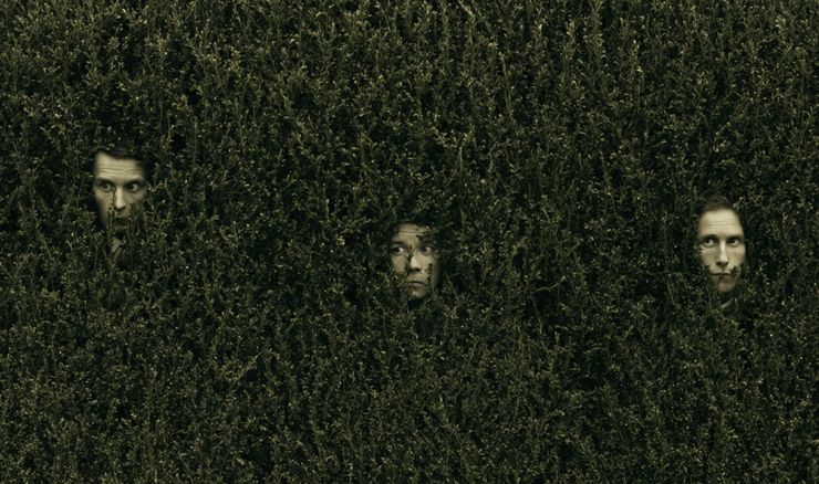 hedge fund faces in a bush 