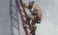 Jane Street also wants people with strong arms who can climb ladders 