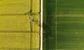 Two fields. The grass is greener in one.