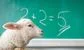 Citadel's newest analyst was an asset management MD