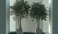 London traders are joining hedge funds in Abu Dhabi & Dubai again: "I will miss the trees, but I have to make a choice" 