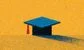 What qualifications and skills do you need for a career in fintech?