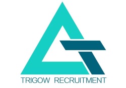 Trigow Recruitment